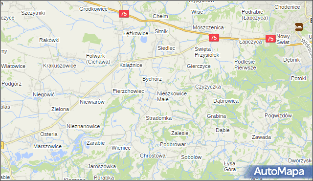 mapa Nieszkowice Małe, Nieszkowice Małe na mapie Targeo