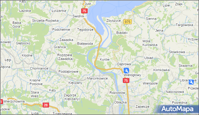 mapa Kurów gmina Chełmiec, Kurów gmina Chełmiec na mapie Targeo