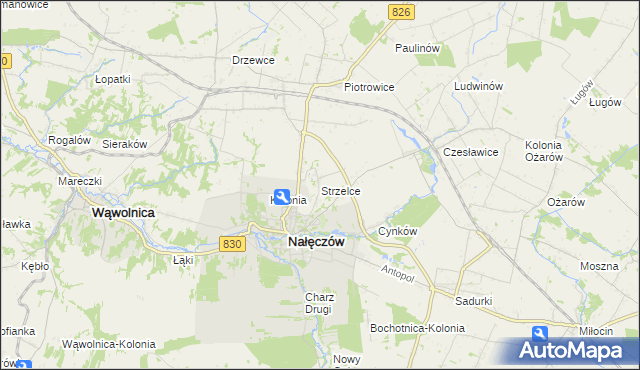 mapa Strzelce gmina Nałęczów, Strzelce gmina Nałęczów na mapie Targeo