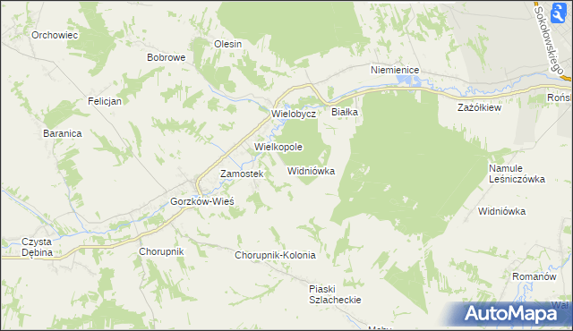 mapa Widniówka gmina Gorzków, Widniówka gmina Gorzków na mapie Targeo