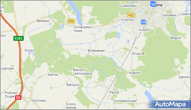 mapa Borkowice gmina Mosina, Borkowice gmina Mosina na mapie Targeo