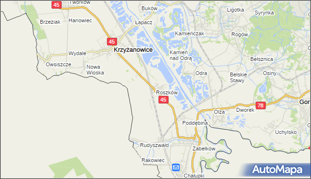 mapa Roszków gmina Krzyżanowice, Roszków gmina Krzyżanowice na mapie Targeo