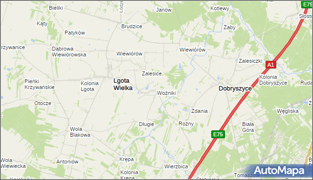 mapa Woźniki gmina Lgota Wielka, Woźniki gmina Lgota Wielka na mapie Targeo