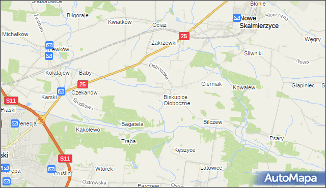 mapa Biskupice Ołoboczne, Biskupice Ołoboczne na mapie Targeo