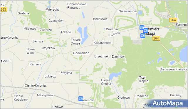 mapa Brzeźniak gmina Golina, Brzeźniak gmina Golina na mapie Targeo