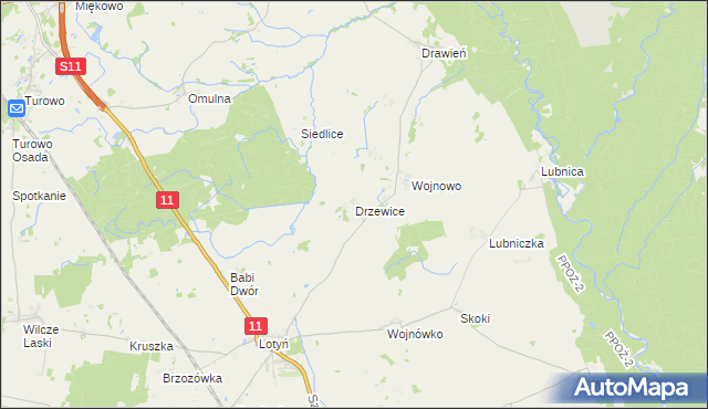 mapa Drzewice, Drzewice na mapie Targeo