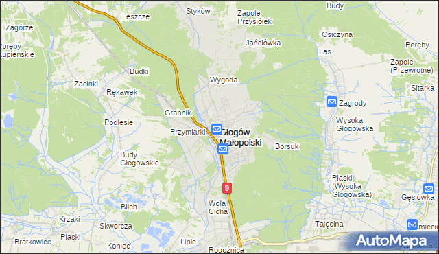 mapa Głogów Małopolski, Głogów Małopolski na mapie Targeo