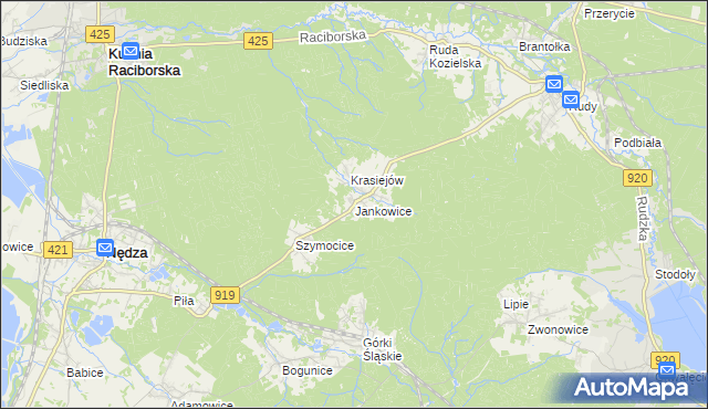 mapa Jankowice gmina Kuźnia Raciborska, Jankowice gmina Kuźnia Raciborska na mapie Targeo