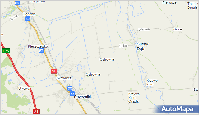 mapa Ostrowite gmina Suchy Dąb, Ostrowite gmina Suchy Dąb na mapie Targeo