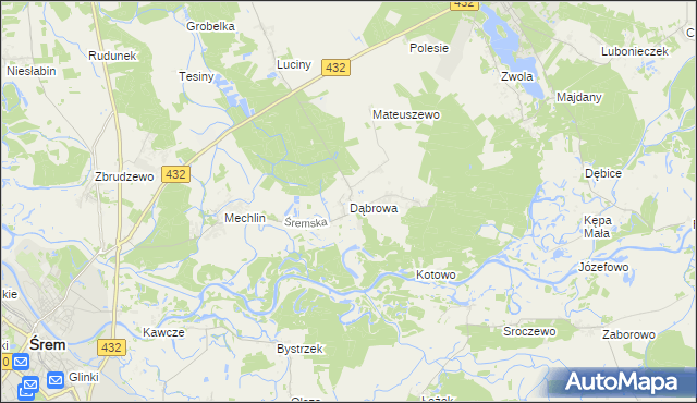 mapa Dąbrowa gmina Śrem, Dąbrowa gmina Śrem na mapie Targeo