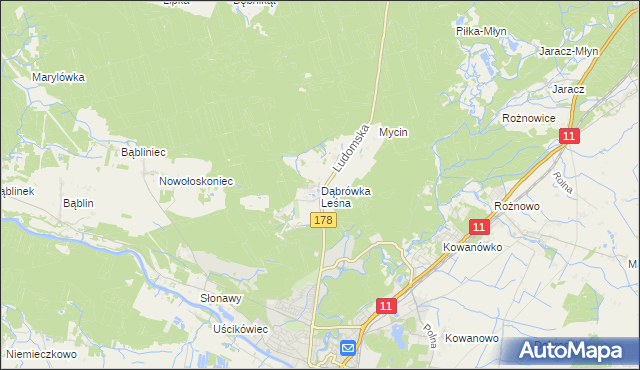 mapa Dąbrówka Leśna, Dąbrówka Leśna na mapie Targeo