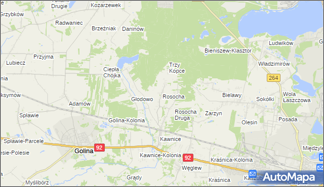 mapa Rosocha gmina Golina, Rosocha gmina Golina na mapie Targeo