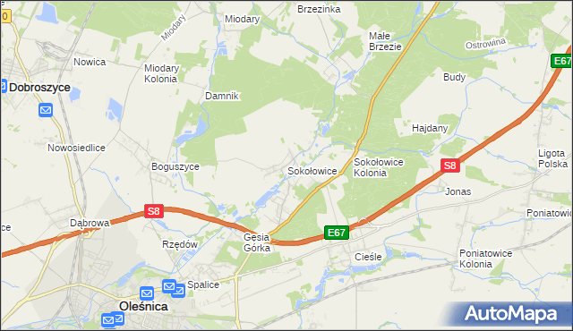 mapa Sokołowice gmina Oleśnica, Sokołowice gmina Oleśnica na mapie Targeo