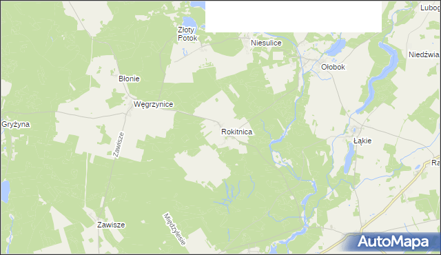mapa Rokitnica gmina Skąpe, Rokitnica gmina Skąpe na mapie Targeo