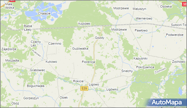 mapa Adamowo gmina Mochowo, Adamowo gmina Mochowo na mapie Targeo