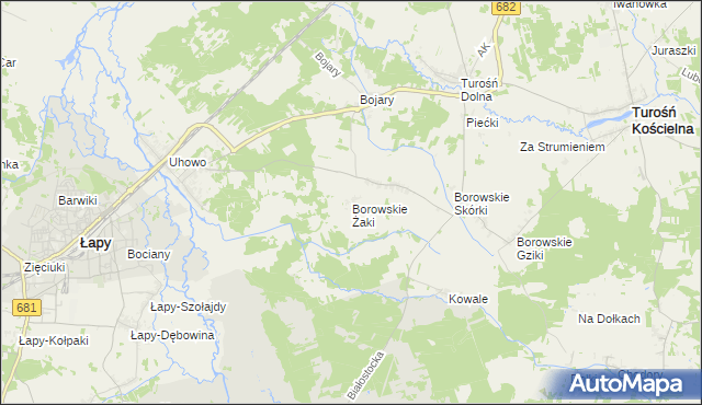 mapa Borowskie Żaki, Borowskie Żaki na mapie Targeo