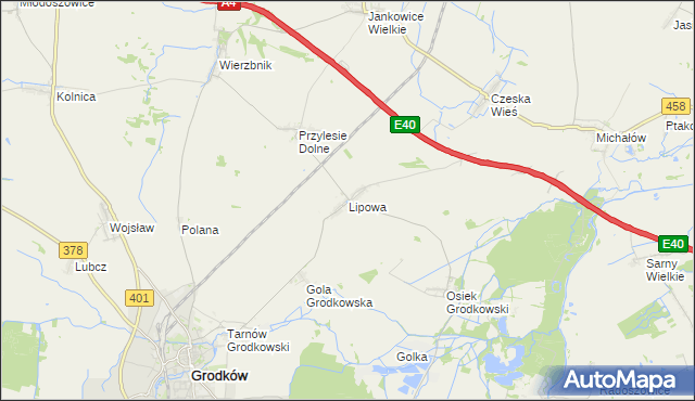 mapa Lipowa gmina Grodków, Lipowa gmina Grodków na mapie Targeo