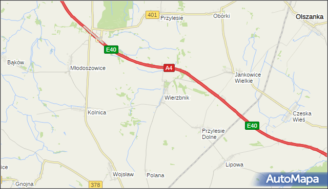 mapa Wierzbnik gmina Grodków, Wierzbnik gmina Grodków na mapie Targeo