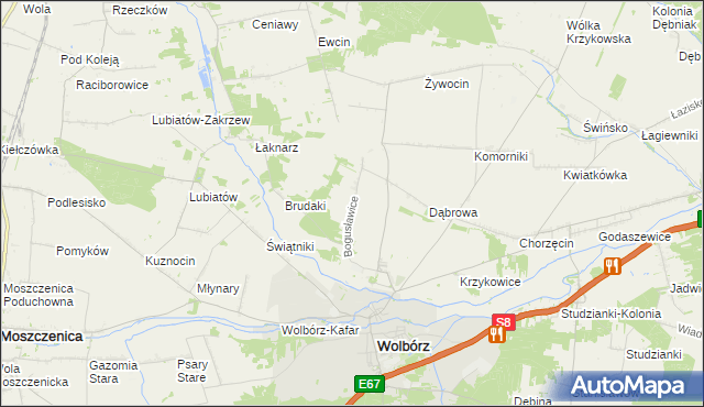 mapa Bogusławice gmina Wolbórz, Bogusławice gmina Wolbórz na mapie Targeo