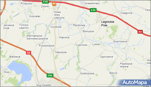 mapa Czarnków gmina Legnickie Pole, Czarnków gmina Legnickie Pole na mapie Targeo