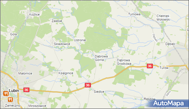 mapa Dąbrowa Górna gmina Lubin, Dąbrowa Górna gmina Lubin na mapie Targeo