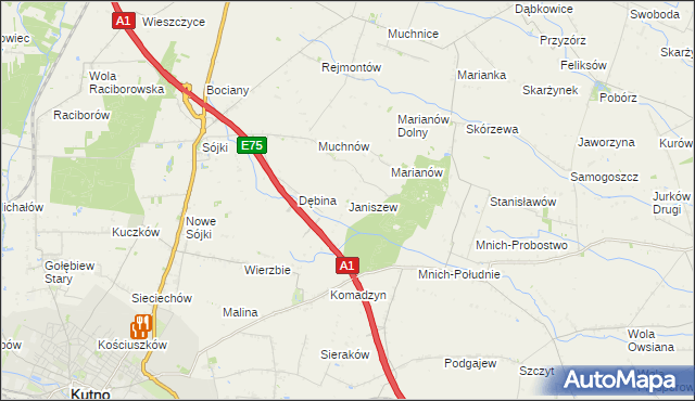 mapa Janiszew gmina Strzelce, Janiszew gmina Strzelce na mapie Targeo