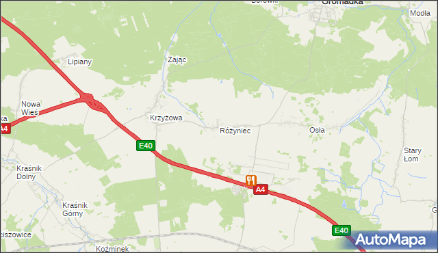 mapa Różyniec, Różyniec na mapie Targeo