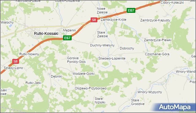 mapa Śliwowo-Łopienite, Śliwowo-Łopienite na mapie Targeo