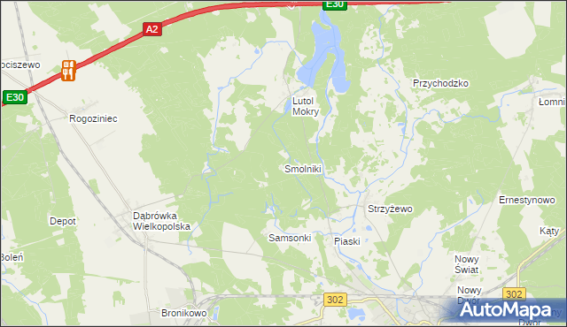 mapa Smolniki gmina Trzciel, Smolniki gmina Trzciel na mapie Targeo