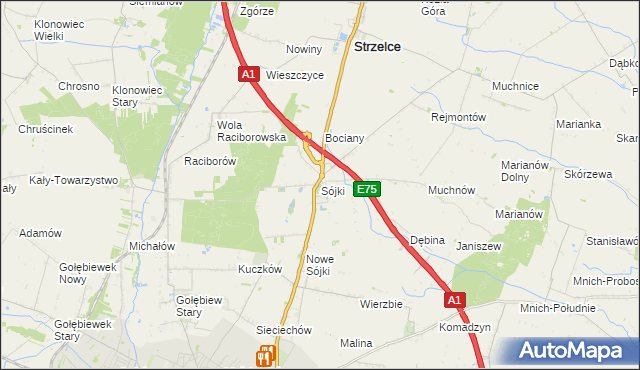 mapa Sójki gmina Strzelce, Sójki gmina Strzelce na mapie Targeo