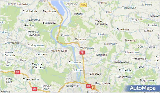 mapa Wielogłowy gmina Chełmiec, Wielogłowy gmina Chełmiec na mapie Targeo