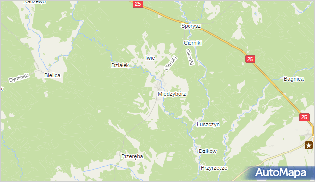 mapa Międzybórz gmina Rzeczenica, Międzybórz gmina Rzeczenica na mapie Targeo