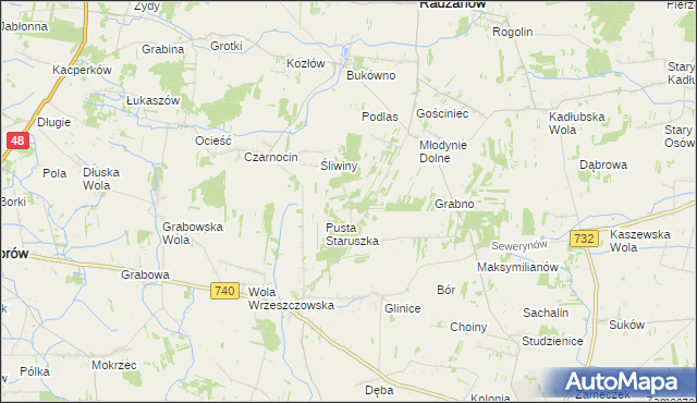 mapa Witoldów gmina Przytyk, Witoldów gmina Przytyk na mapie Targeo