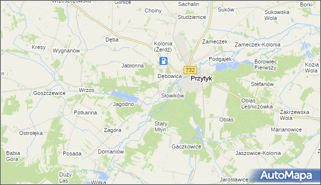 mapa Słowików gmina Przytyk, Słowików gmina Przytyk na mapie Targeo