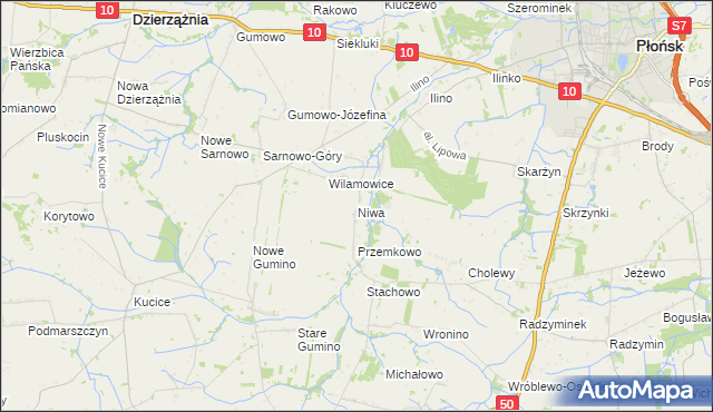 mapa Niwa gmina Dzierzążnia, Niwa gmina Dzierzążnia na mapie Targeo