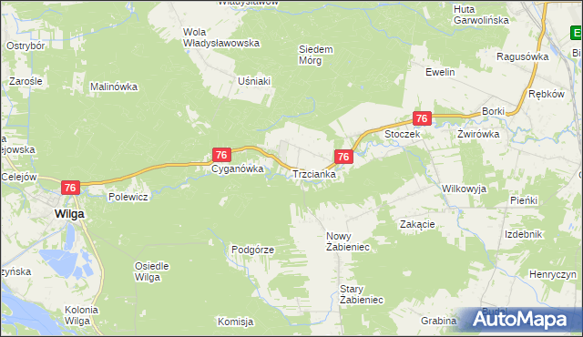 mapa Trzcianka gmina Wilga, Trzcianka gmina Wilga na mapie Targeo