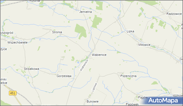 mapa Wabienice, Wabienice na mapie Targeo
