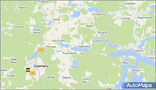 mapa Dąbrówka gmina Dziemiany, Dąbrówka gmina Dziemiany na mapie Targeo