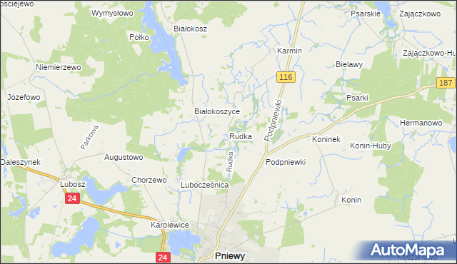 mapa Rudka gmina Pniewy, Rudka gmina Pniewy na mapie Targeo