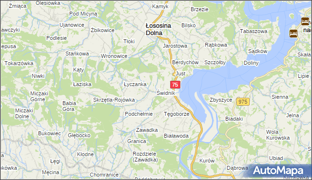 mapa Świdnik gmina Łososina Dolna, Świdnik gmina Łososina Dolna na mapie Targeo