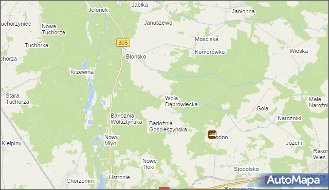 mapa Wola Dąbrowiecka, Wola Dąbrowiecka na mapie Targeo