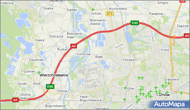mapa Biała gmina Tarnów, Biała gmina Tarnów na mapie Targeo