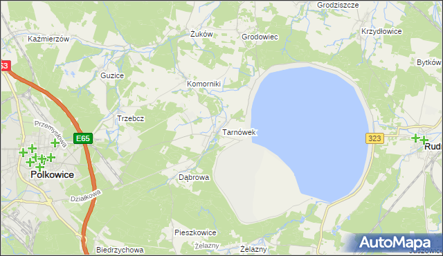 mapa Tarnówek gmina Polkowice, Tarnówek gmina Polkowice na mapie Targeo