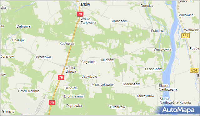 mapa Julianów gmina Tarłów, Julianów gmina Tarłów na mapie Targeo