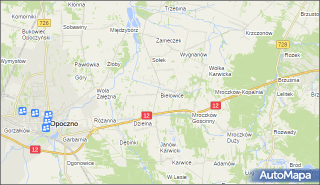 mapa Bielowice gmina Opoczno, Bielowice gmina Opoczno na mapie Targeo