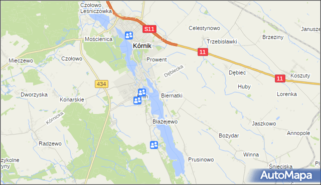 mapa Biernatki gmina Kórnik, Biernatki gmina Kórnik na mapie Targeo