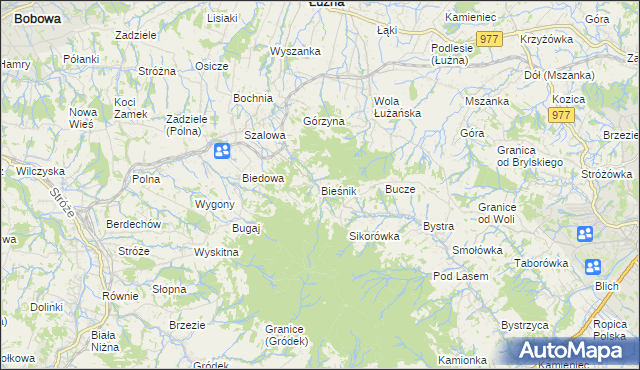 mapa Bieśnik gmina Łużna, Bieśnik gmina Łużna na mapie Targeo