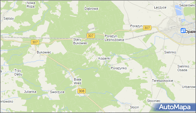 mapa Kopanki gmina Opalenica, Kopanki gmina Opalenica na mapie Targeo