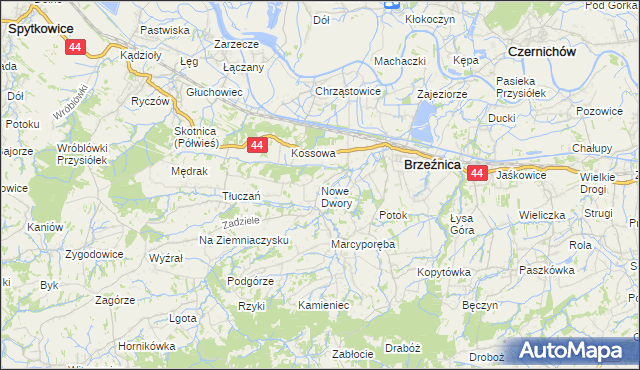 mapa Nowe Dwory gmina Brzeźnica, Nowe Dwory gmina Brzeźnica na mapie Targeo