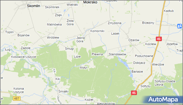 mapa Plewina, Plewina na mapie Targeo
